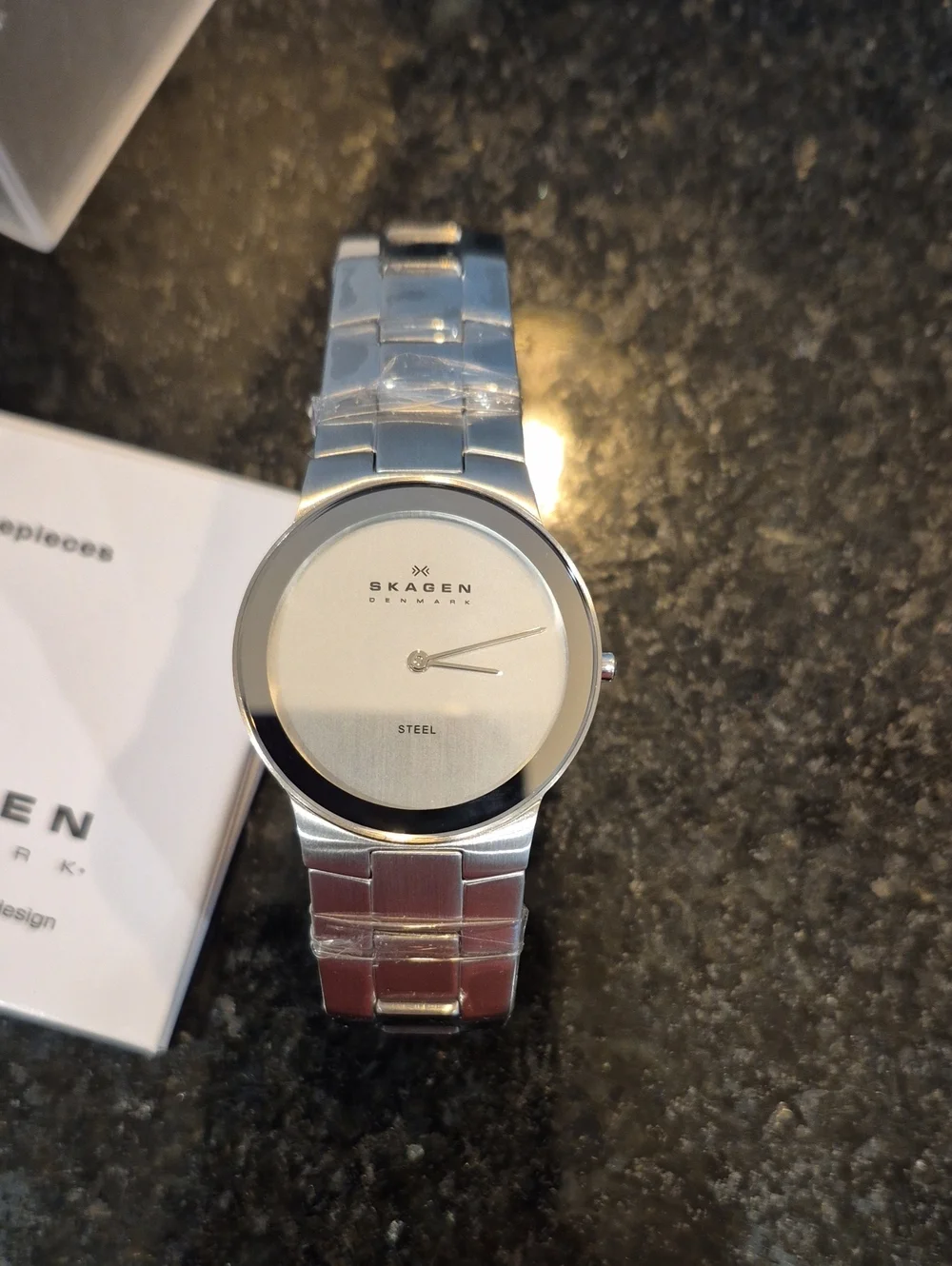 Skagen Men's Steel Bracelet Watch